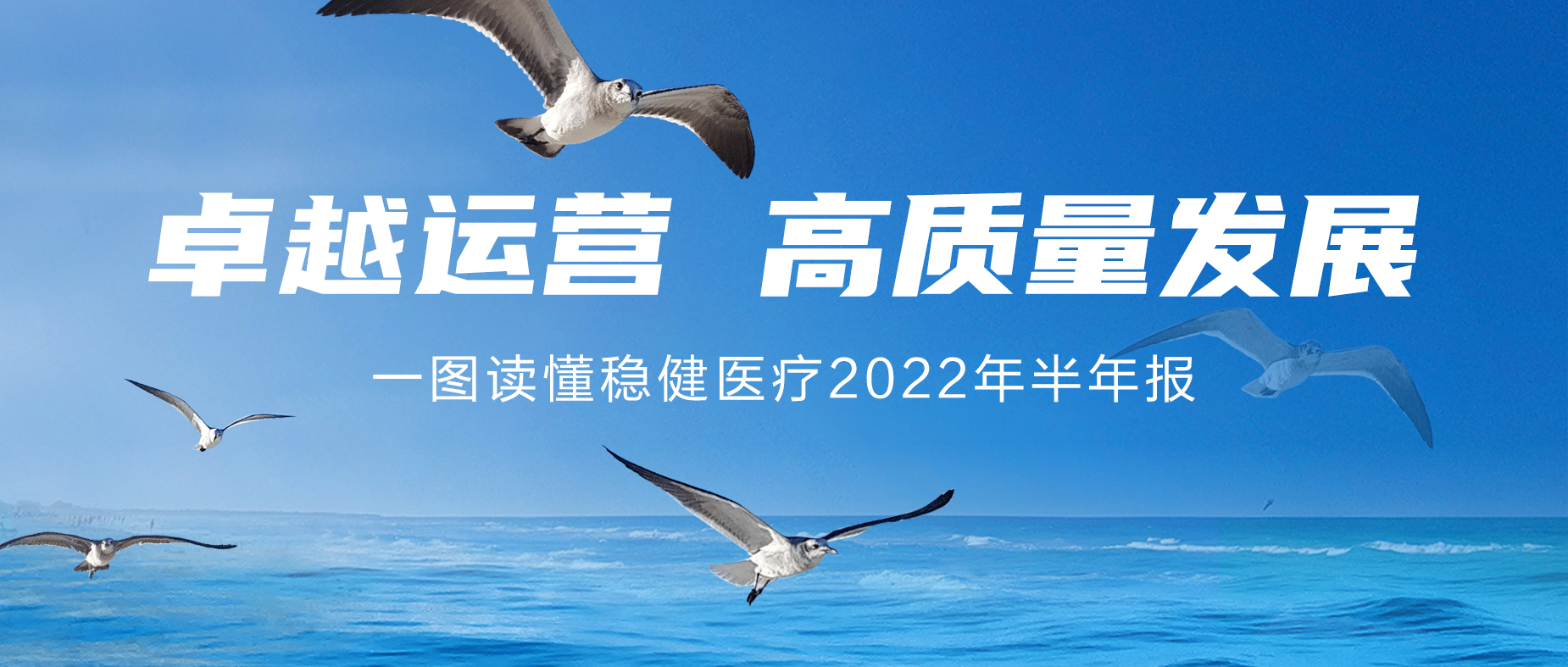 一图读懂太阳GG2022年半年报