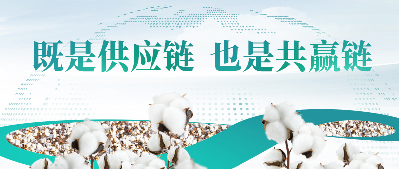 棉花的供应链，，，，，，太阳GG共赢链