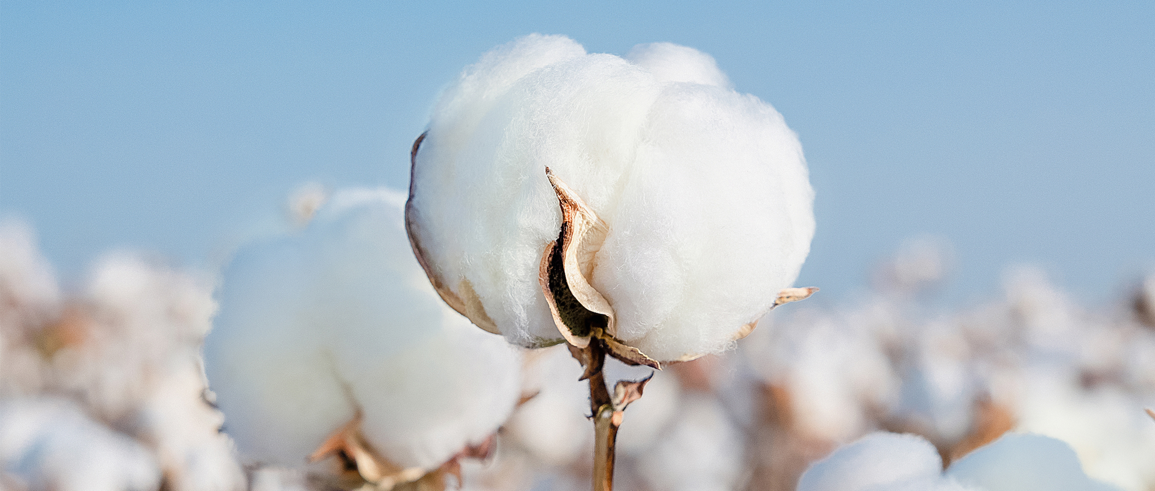 一图读懂太阳GG集团2024年度ESG报告